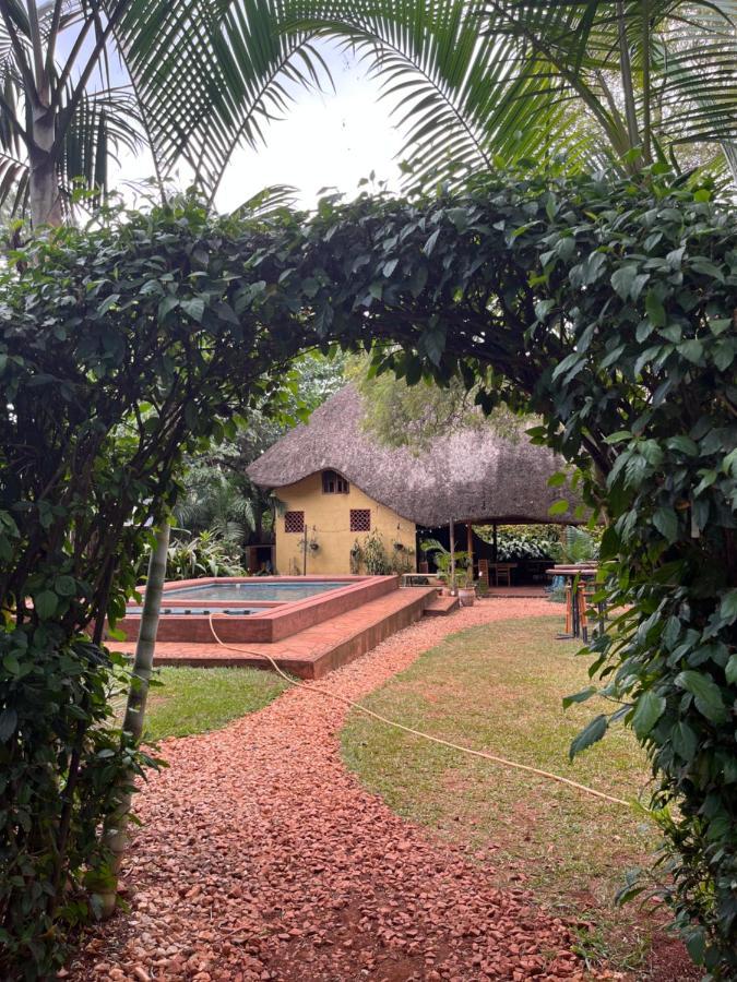 30 Wilson Bed & Breakfast Jinja Ngoại thất bức ảnh