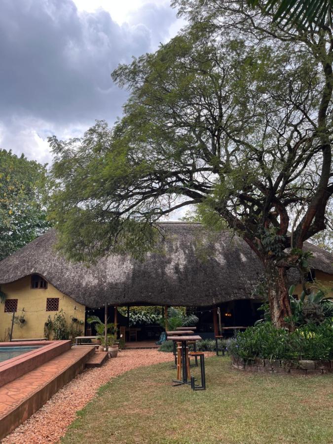 30 Wilson Bed & Breakfast Jinja Ngoại thất bức ảnh