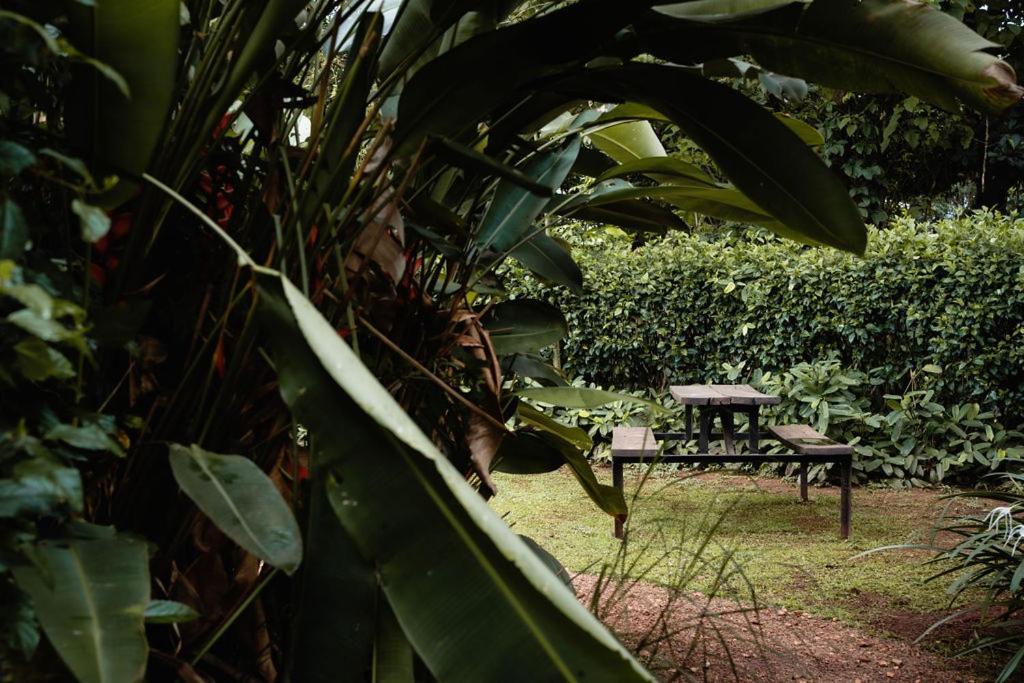 30 Wilson Bed & Breakfast Jinja Ngoại thất bức ảnh